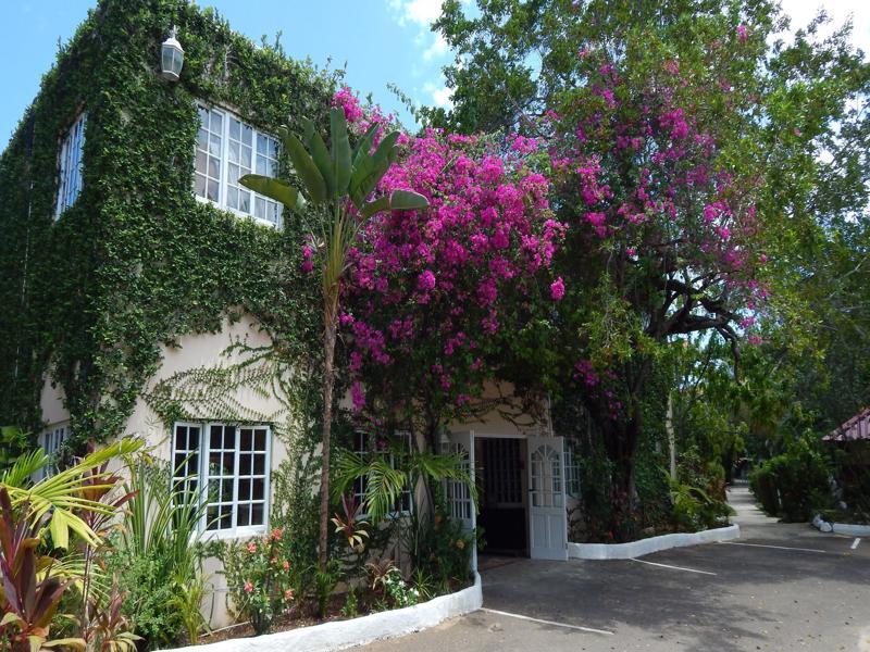 Mangos Jamaica Adults Only Hotel ฟาลมัธ ภายนอก รูปภาพ