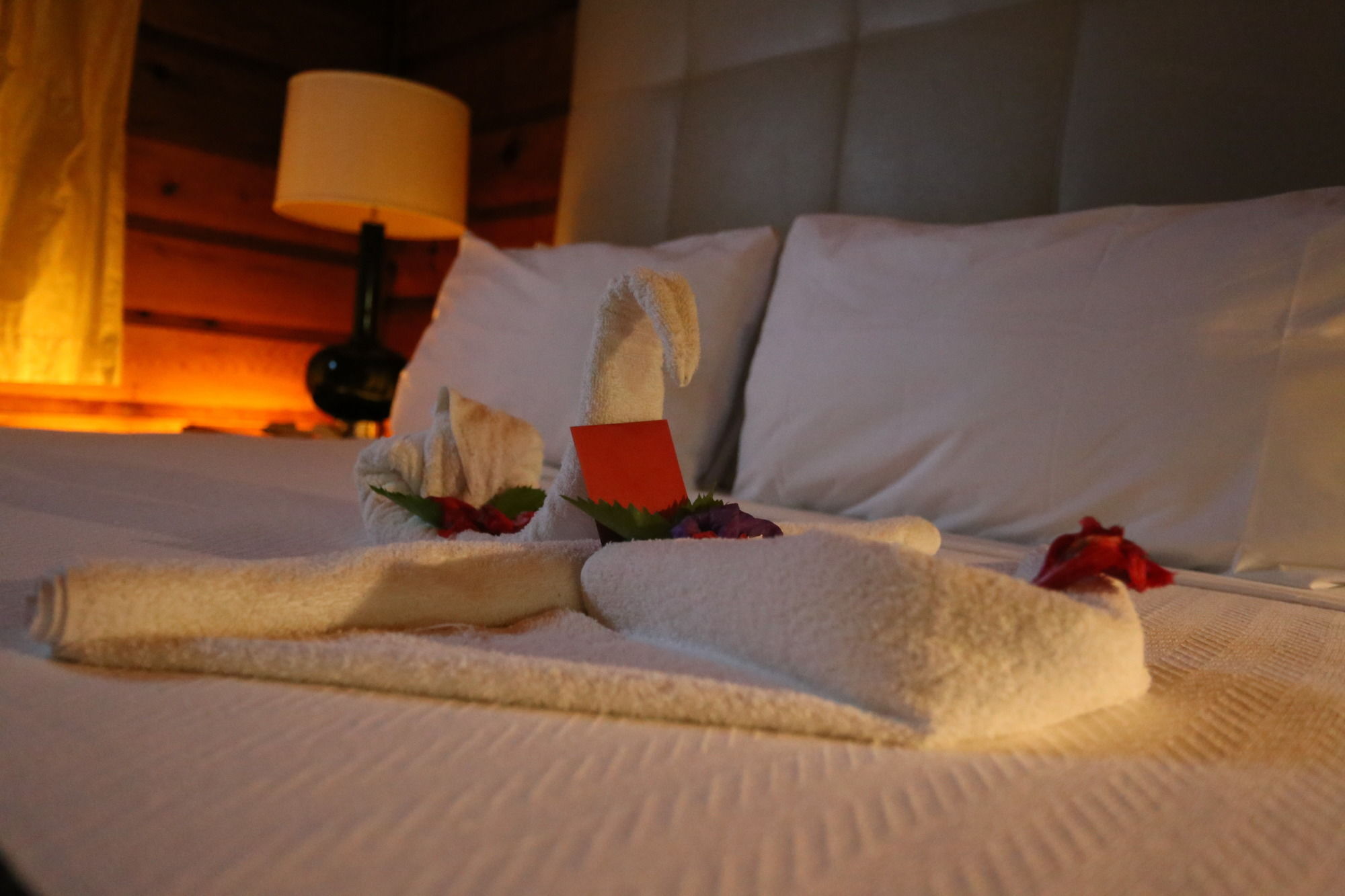 Mangos Jamaica Adults Only Hotel ฟาลมัธ ภายนอก รูปภาพ